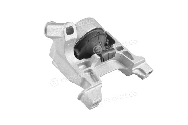 Tedgum TED54109