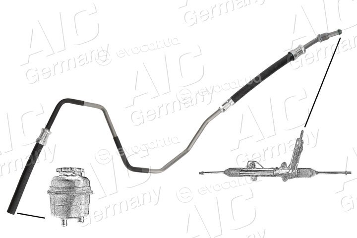 AIC 54955