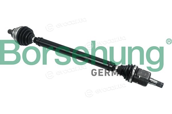 Borsehung B18405