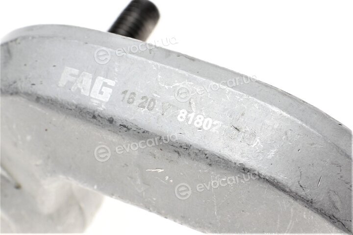 FAG 818 0213 10