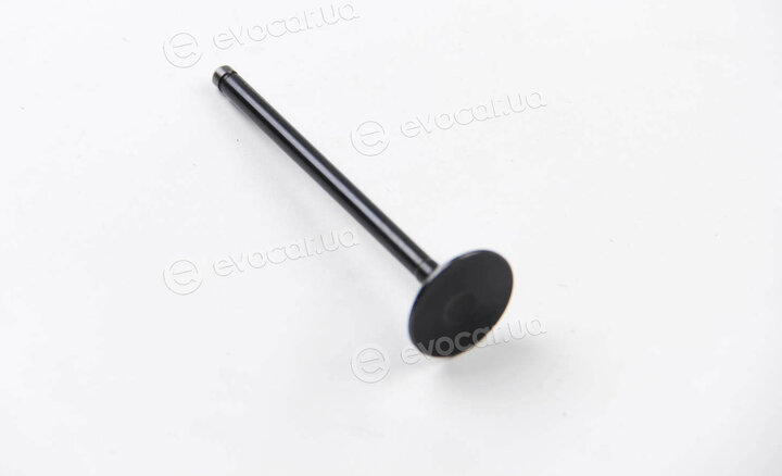 BGA V164620