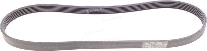 Continental 6PK1029 ELAST