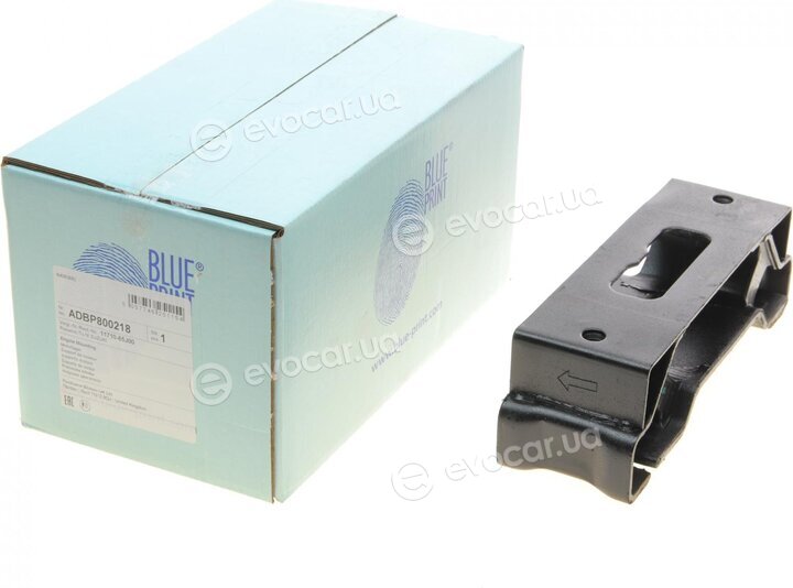 Blue Print ADBP800218