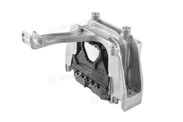 Tedgum TED51460