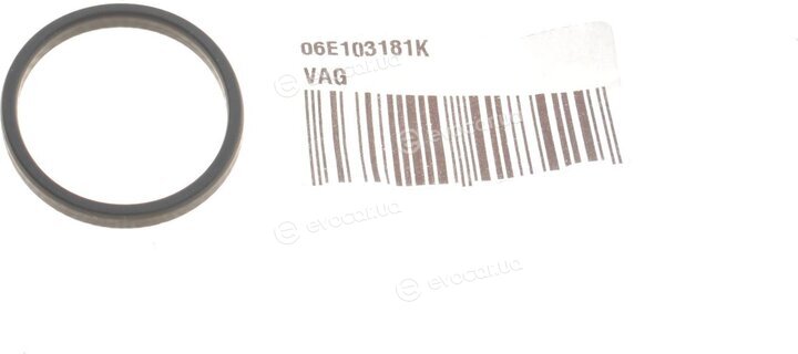 VAG 06E103181K