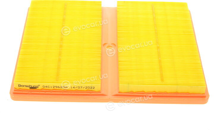Borsehung B10528
