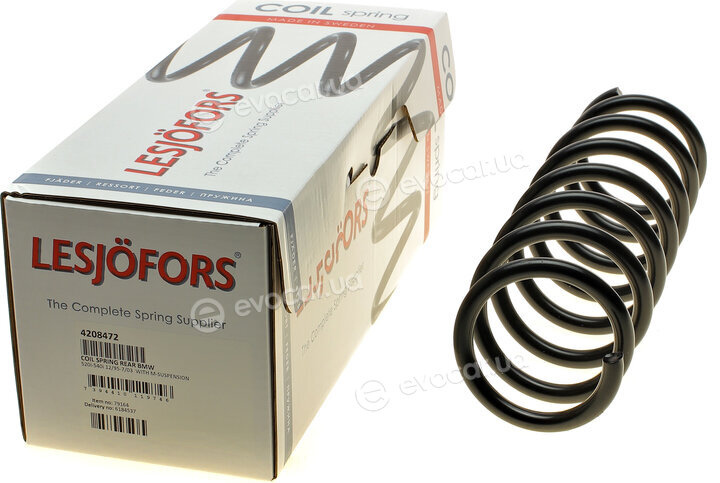 Lesjofors 4208472