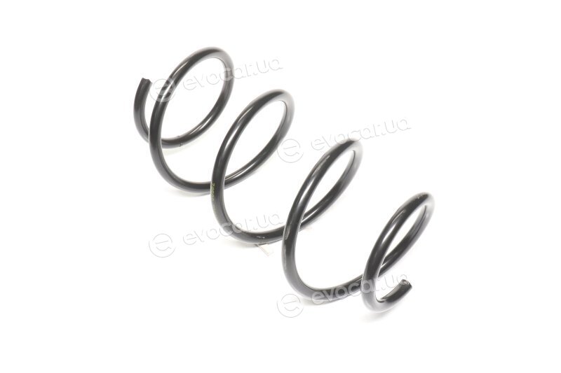 Lesjofors 4062077