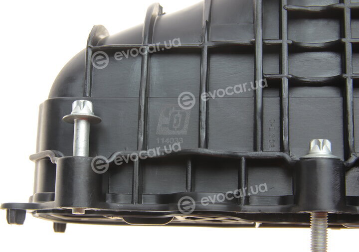Solgy 114033