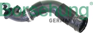 Borsehung B12335
