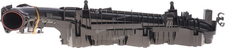 Solgy 114285
