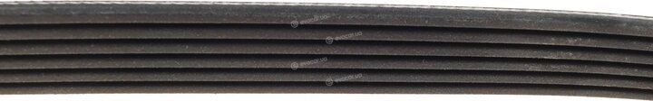 Dayco 6PK853