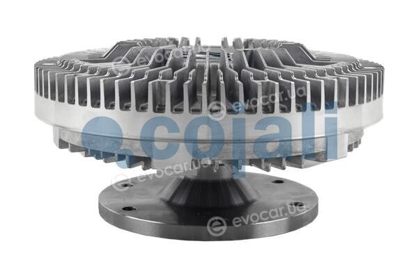 Cojali 7023132