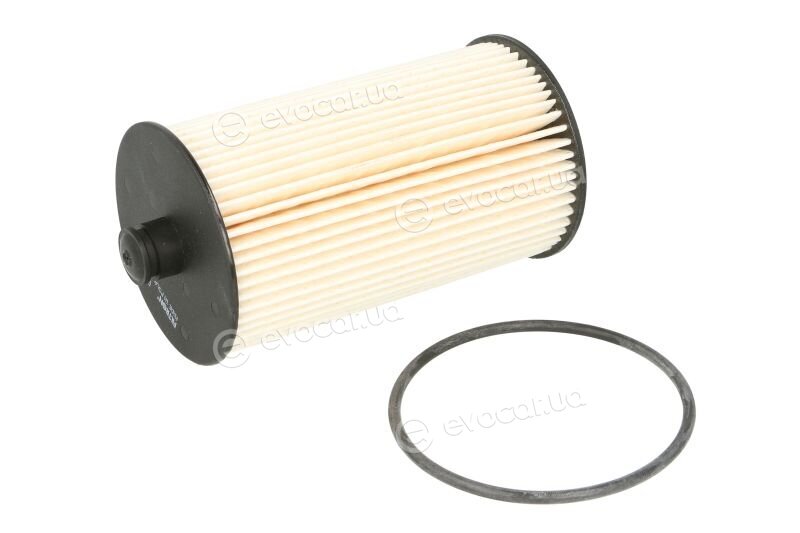 Filtron PE 973/4