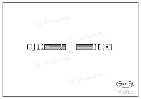 Corteco 19031636