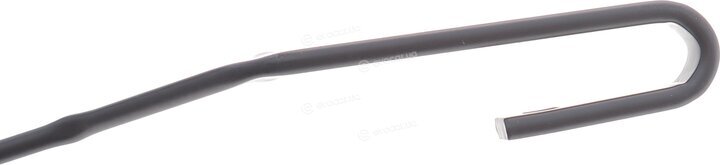 Solgy 307071