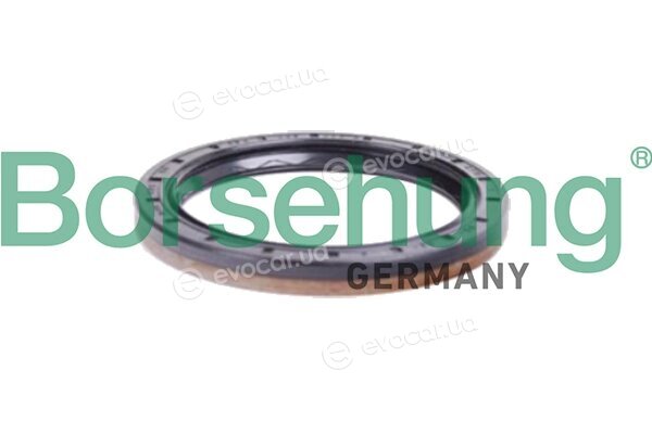 Borsehung B12197
