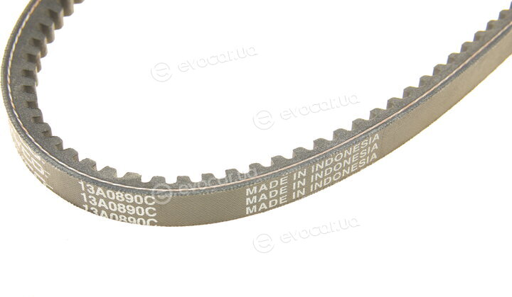 Dayco 13A0890C