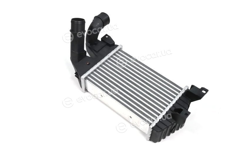 AVA OL4584