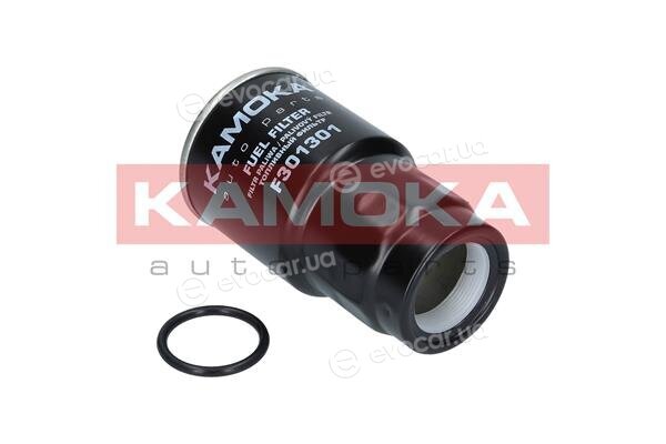 Kamoka F301301