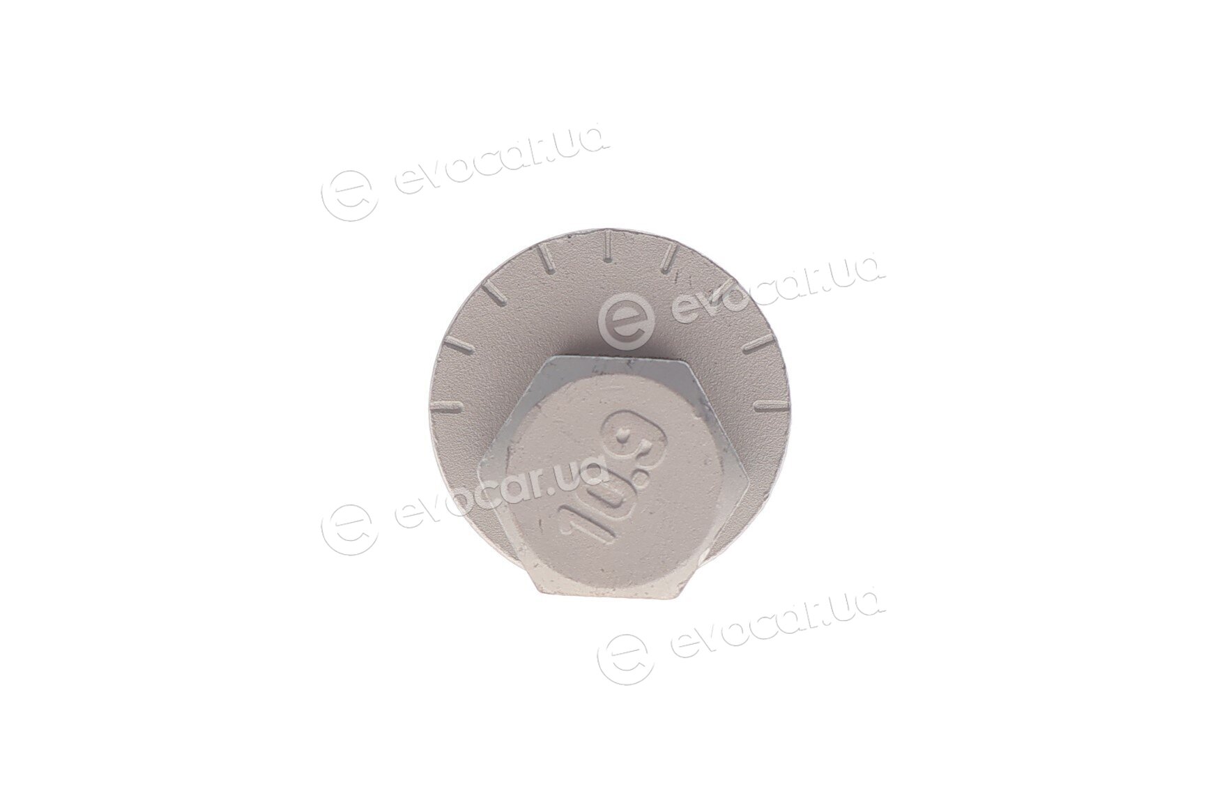 Solgy 204263