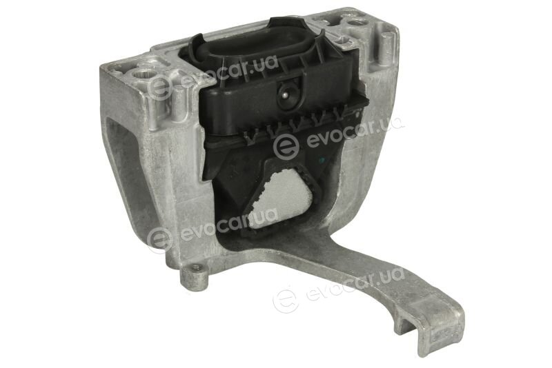 Tedgum TED51460