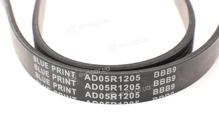 Blue Print AD05R1205