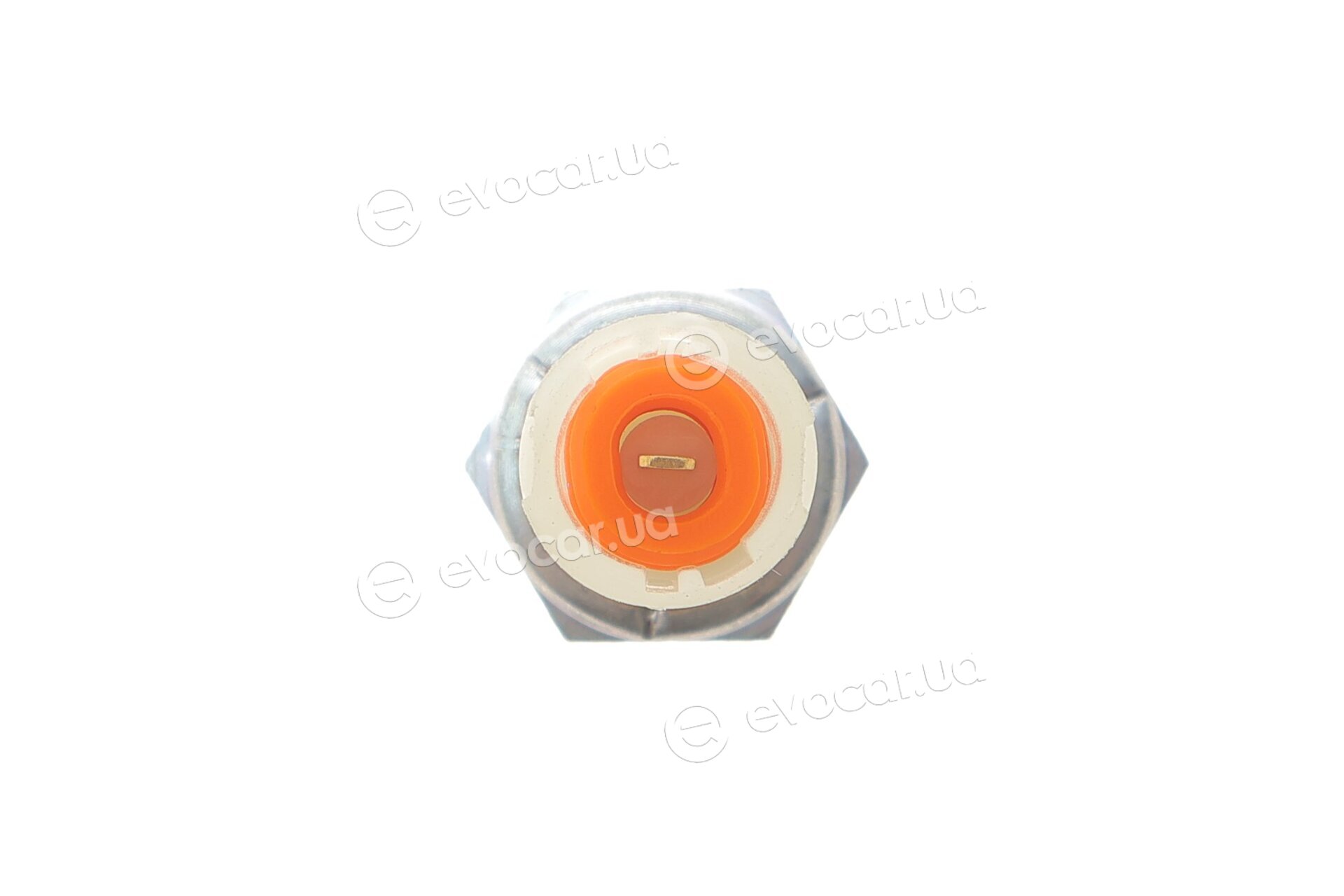AIC 57238