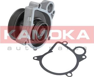 Kamoka T0061