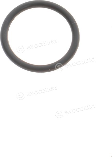 BMW / Mini 11428604872