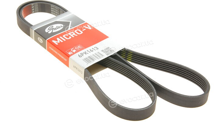 Gates 6PK1613