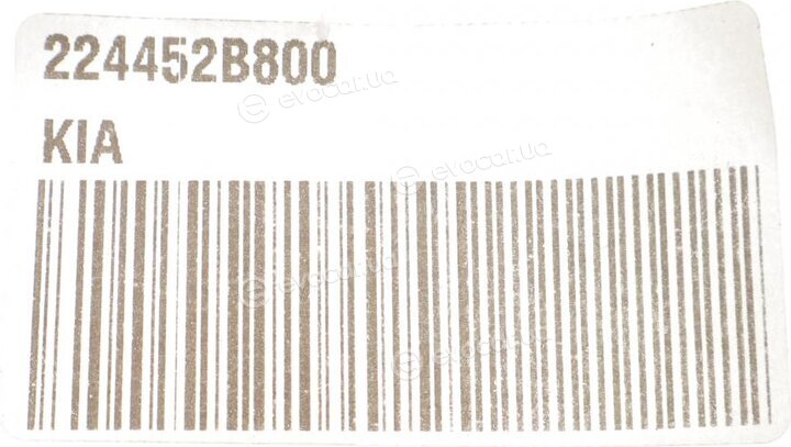 Kia / Hyundai 224452B800
