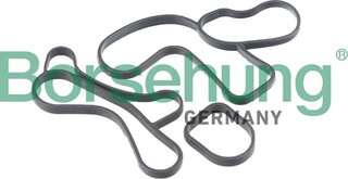 Borsehung B12530