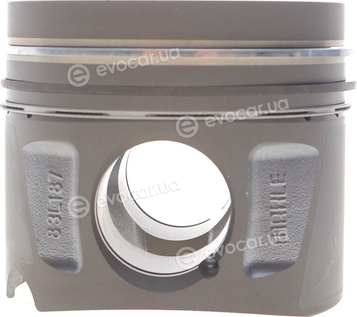 Mahle 001 PI 00106 002
