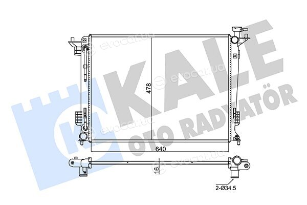 Kale 347805