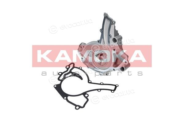 Kamoka T0195