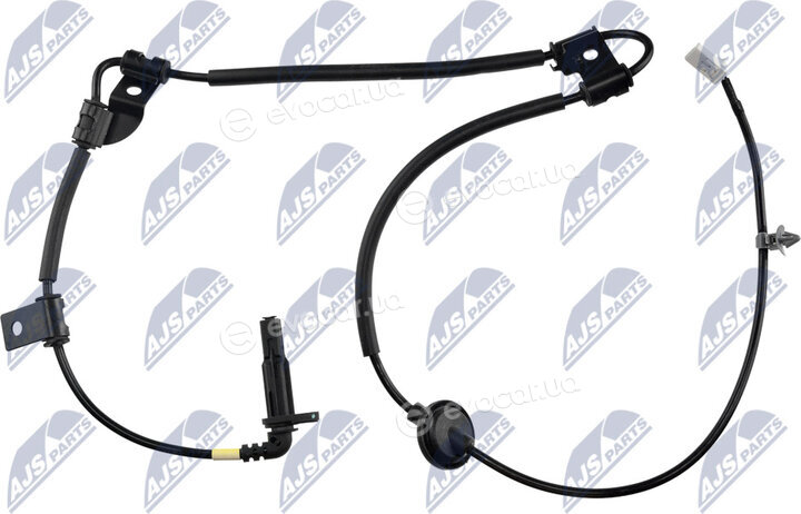 NTY HCA-KA-313