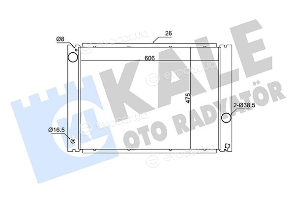 Kale 341905