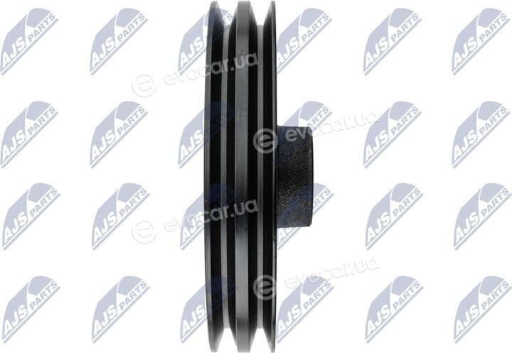 NTY RKP-MS-021