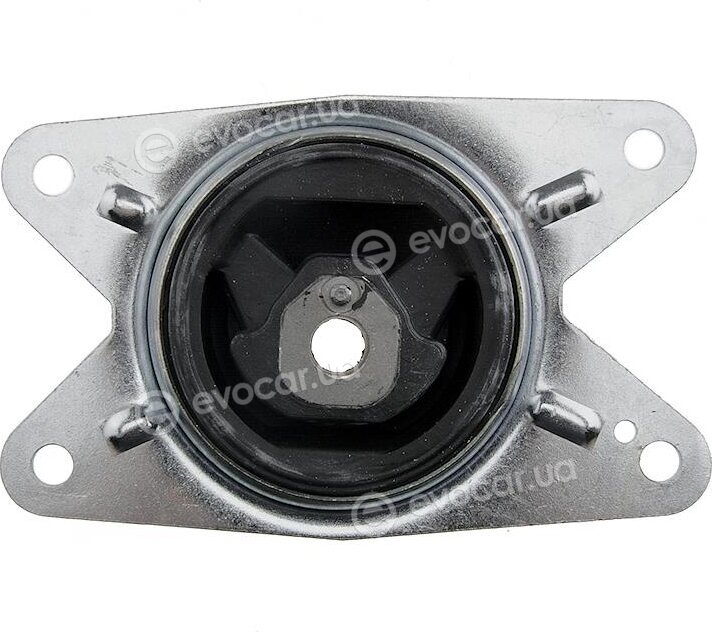 NTY ZPS-PL-009