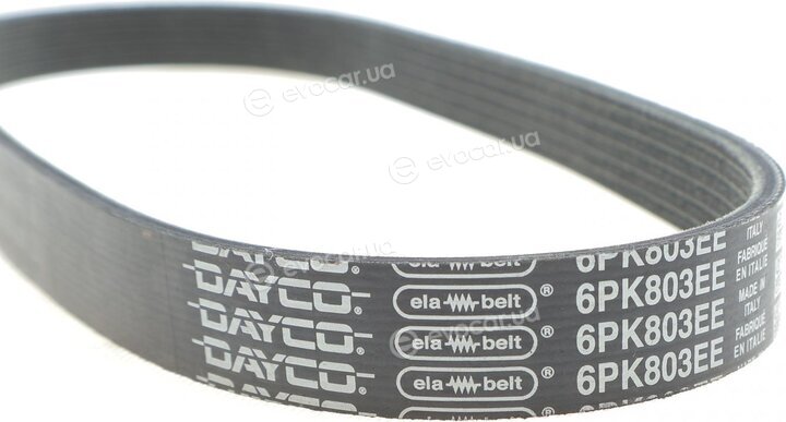 Dayco 6PK803EE