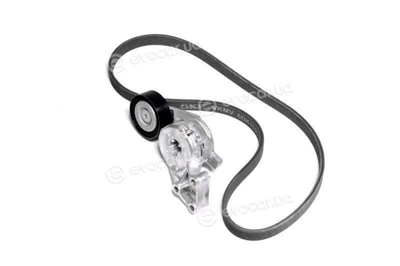 SKF VKMA 31204