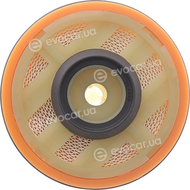 Solgy 102089
