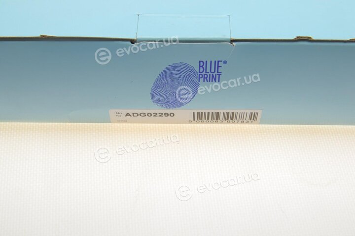 Blue Print ADG02290