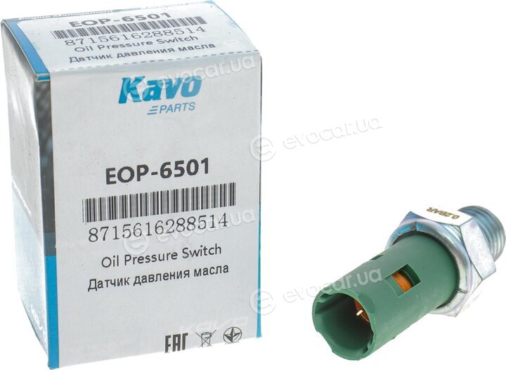 Kavo EOP-6501