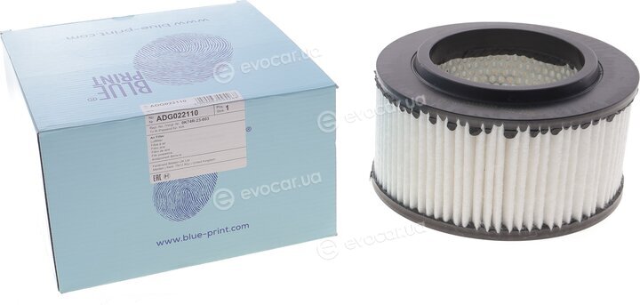 Blue Print ADG022110