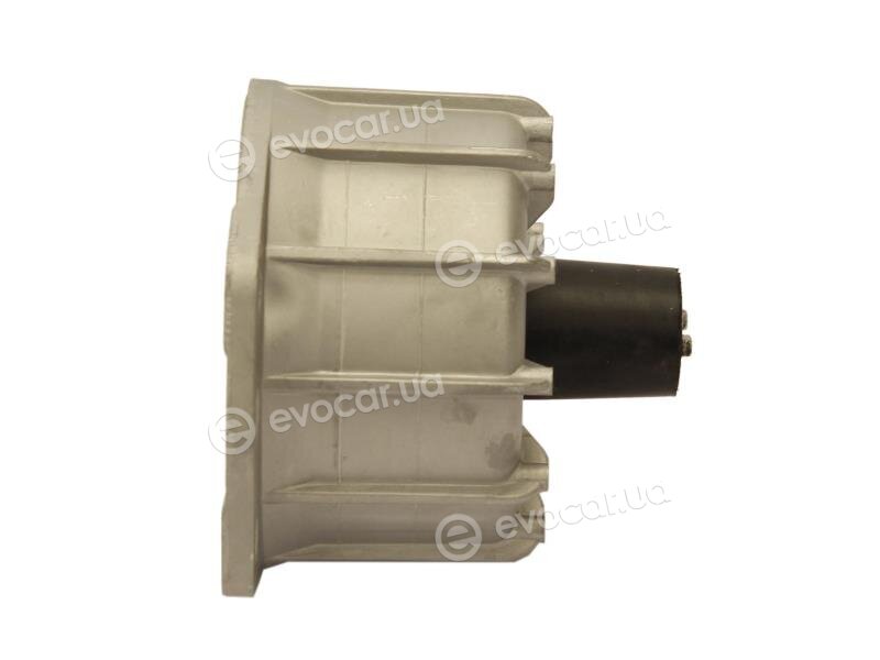 Starline SM 0716