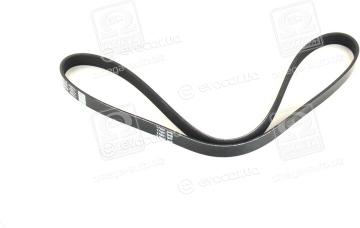 Dayco 5PK1013HD