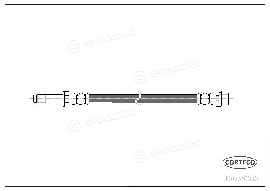 Corteco 19035286