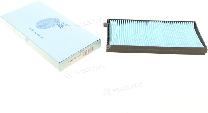 Blue Print ADG02591